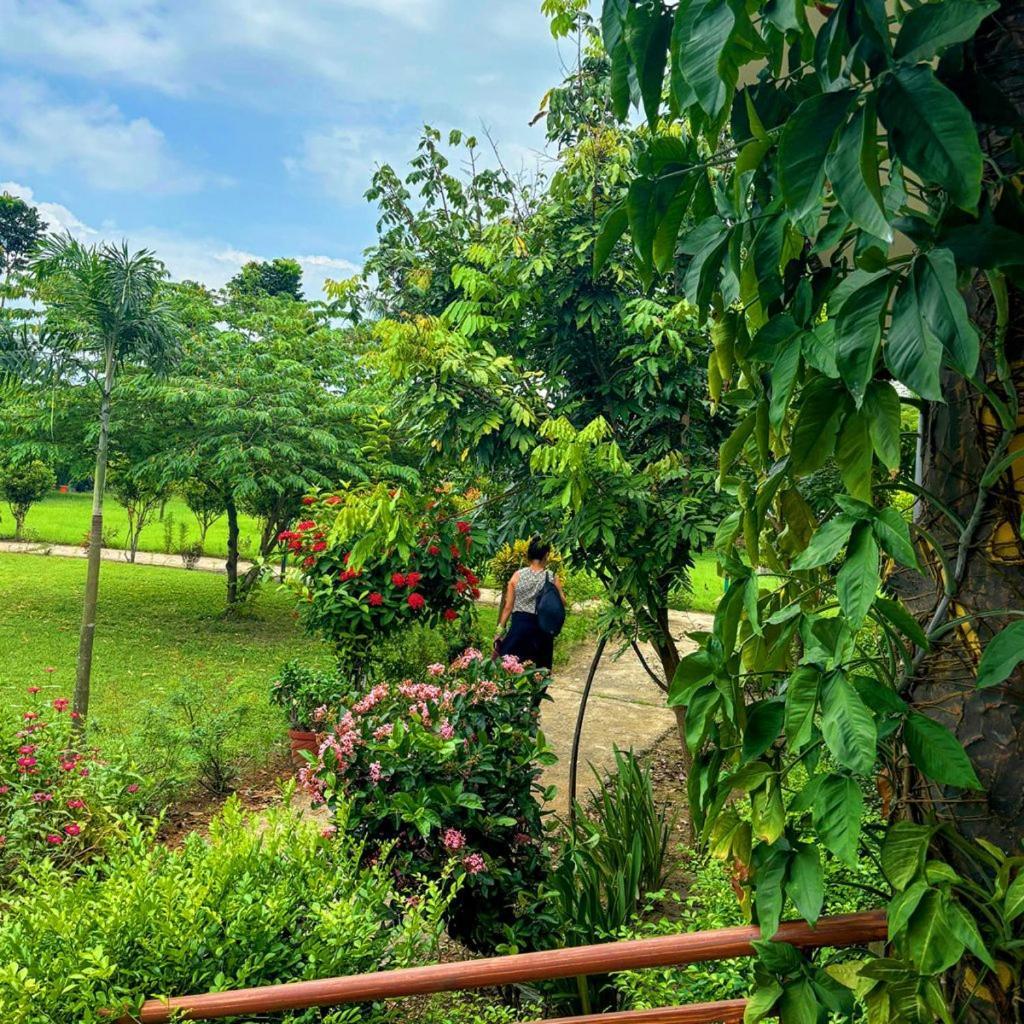 Hotel Greenland Safari Sauraha Εξωτερικό φωτογραφία